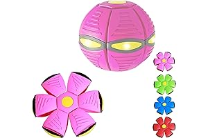 Interactive Ball for Dogs Airball