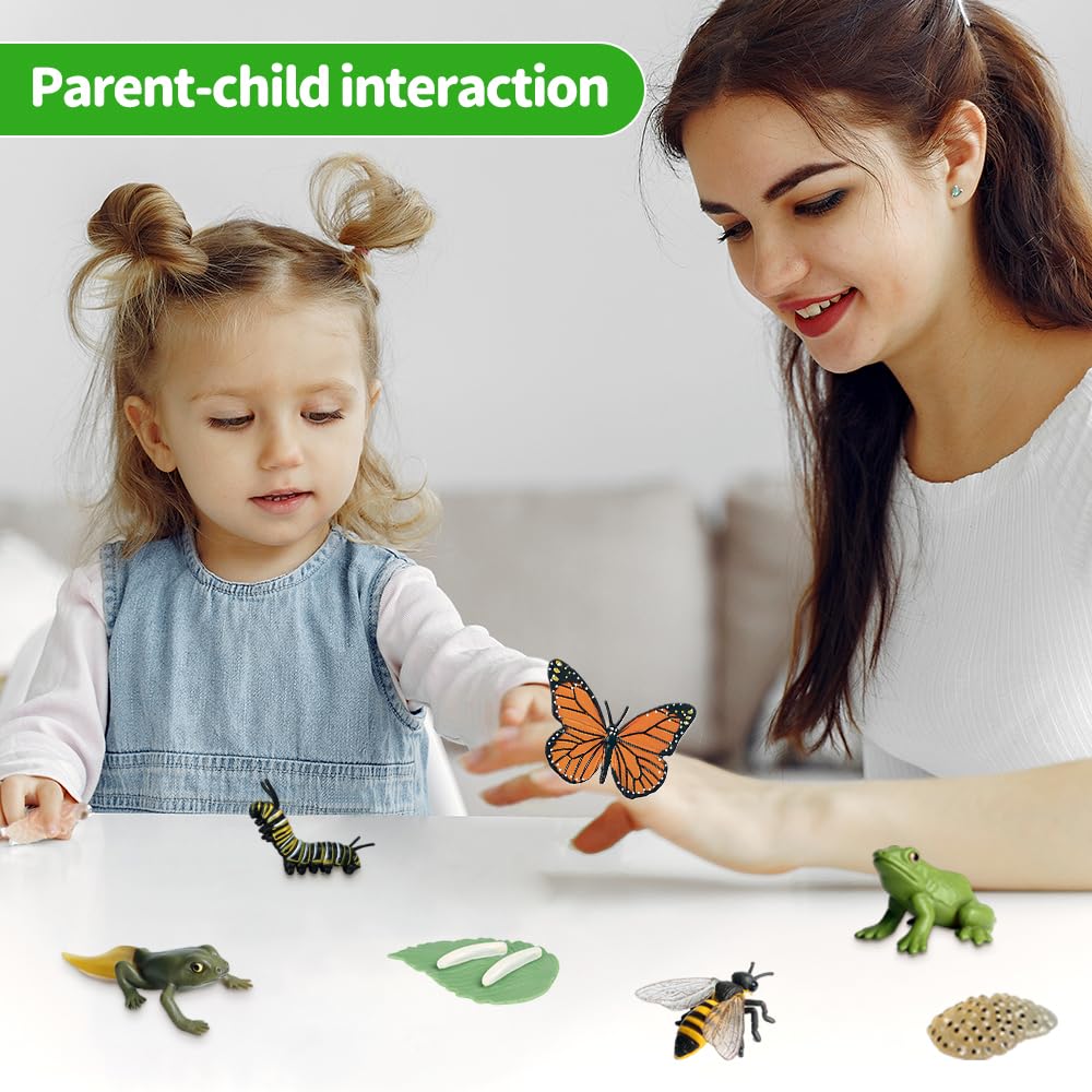 Set 13 Figurine Ciclo di Vita Animali, Farfalle, Api & Rana, Giocattoli Educativi Montessori per Bambini 3+, Kit Didattico per Progetti Scientifici e Scolastici