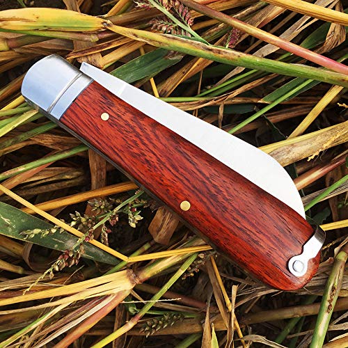Watchman W002 Pocket Knife Folding Knives Traditional Folder Wood Handle Material Collection #TOP4