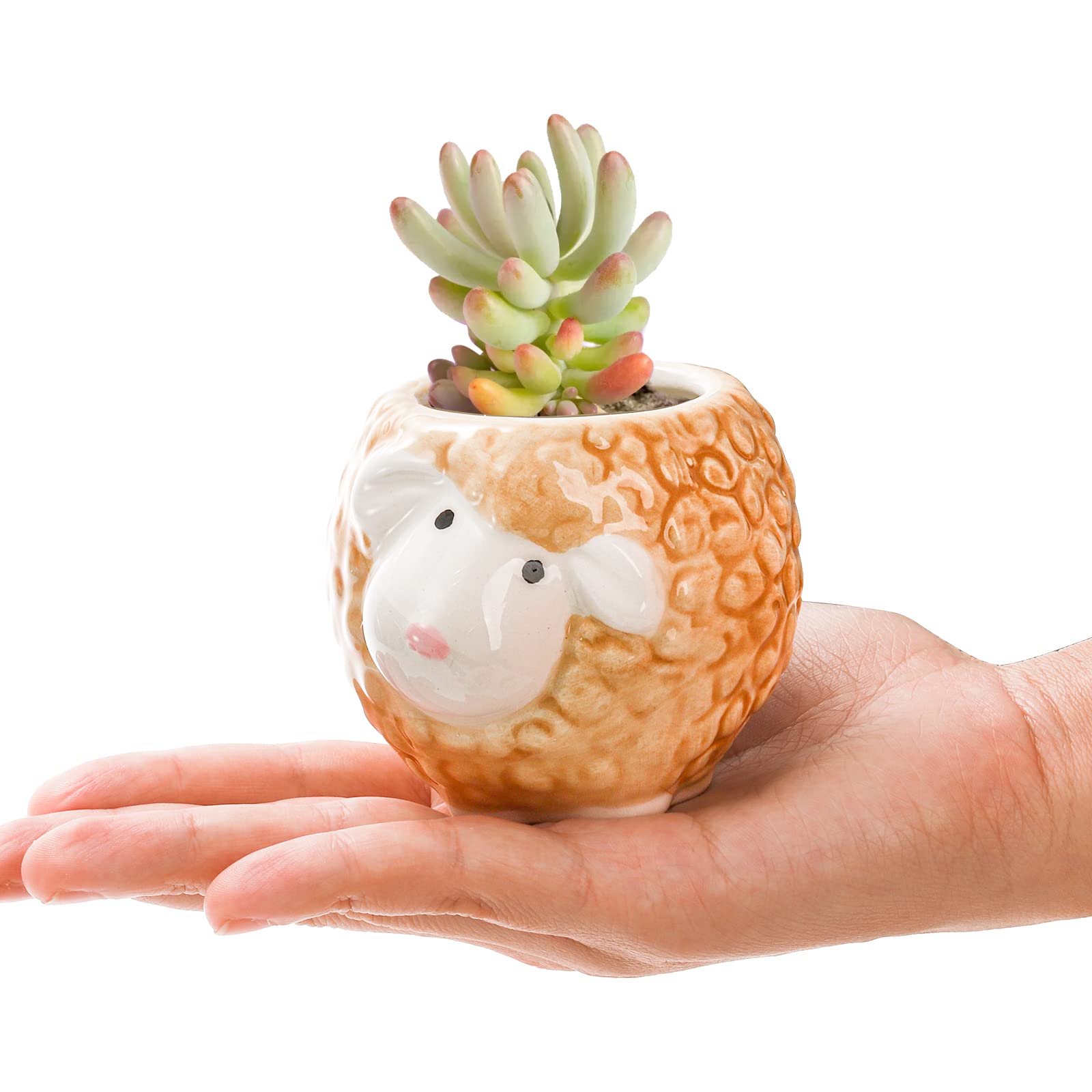 Pumtus 6 Stück Mini-Sukkulenten-Töpfe, kleiner Keramik-Blumentopf, niedlicher Tier-Pflanzenhalter mit Ablaufloch und Bambus-Tablett für Kaktus, Geschenke, Garten, Büro, Heimdekoration, 7,6 cm