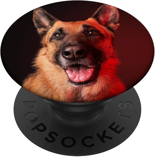 gsd accessories