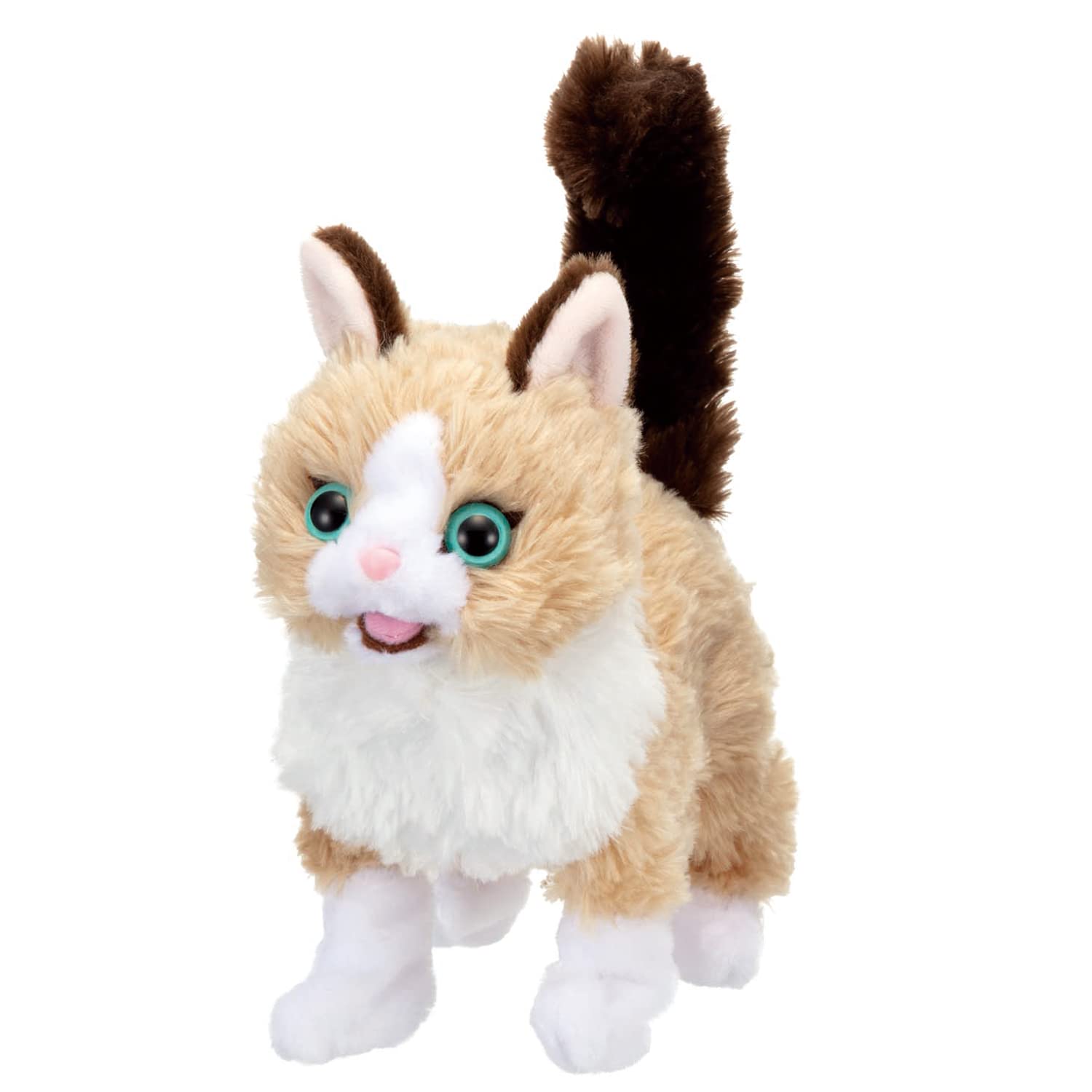 Amazon.co.jp: イワヤ(IWAYA) だっこでミィミィ こねこの
