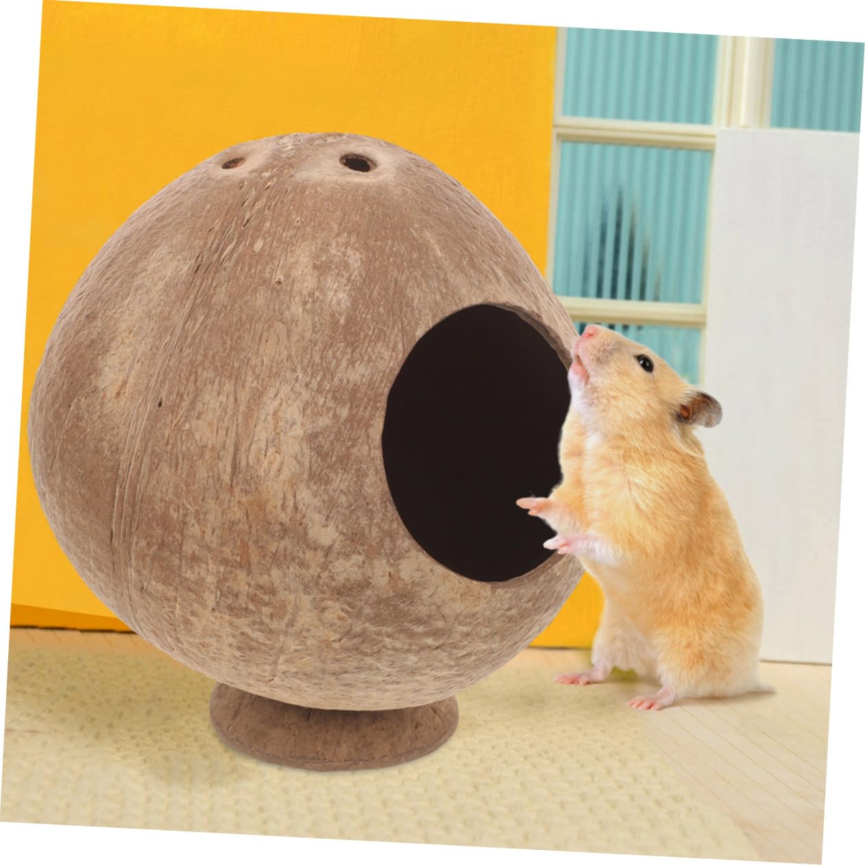 ifundom 2stücke Kleintierversteck Aus Kokosnussschalen Hamsterhaus Für Meerschweinchen Rattenhaus Mit Naturmaterialien Zartes Versteck Für Eichhörnchen