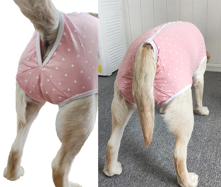 Image of Recovery Suit Post Surgery for Large Medium Dog, Spay Recovery Suit for Male and Female Dogs, Post Surgery Dog Onesie, Substitute E-Collar & Cone (Orange Pink-3XL)