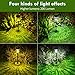 WTGEGF Solar Pathway Lights Outdoor Waterproof, 4 Pack 200 Lumens Super Bright Solar Garden Lights with 2 Lighting Modes, Auto On/Off Outdoor Solar Lights for Yard, Walkway, Lawn, Driveway, Path