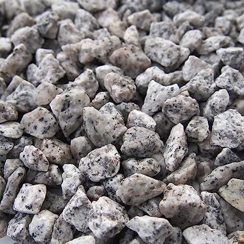 TAIKOH 新白川砂利 5分 10-20mm 化粧砂利 ホワイト 白 砕石 小 (新白川5分(10~20mm), 100kg)