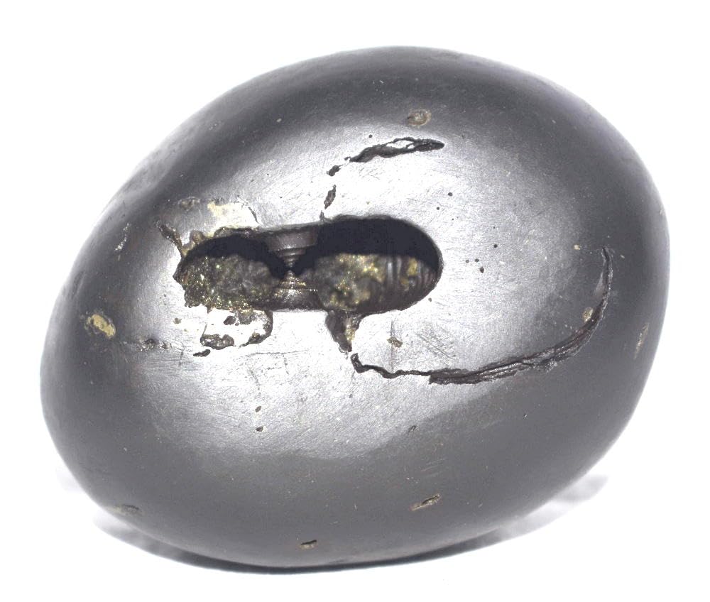 Rudrakshguru Damodar Shaligram