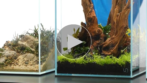 Amazon.com : Ultum Nature Systems Prism Rimless Aquarium