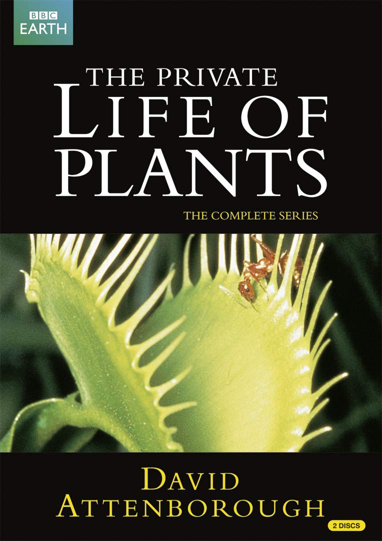 Private Life Of Plants Movies & TV Private Life Of Plants Movies & TV