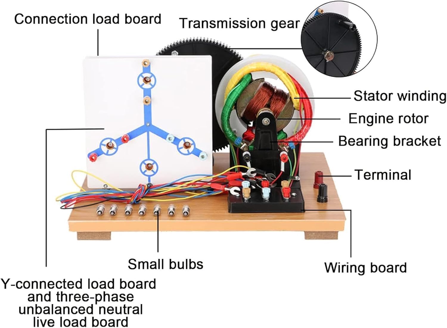 Modello Fisico Di Generatore Trifase Ca/cc A Manovella, Generatore Dinamo Fai-da-te A Scopo Didattico, Kit Per Esperimenti Di Fisica Per La Didattica In Laboratorio.