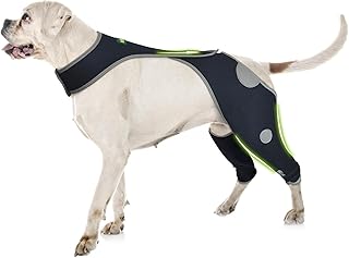 Leg Brace for Dogs Back Leg