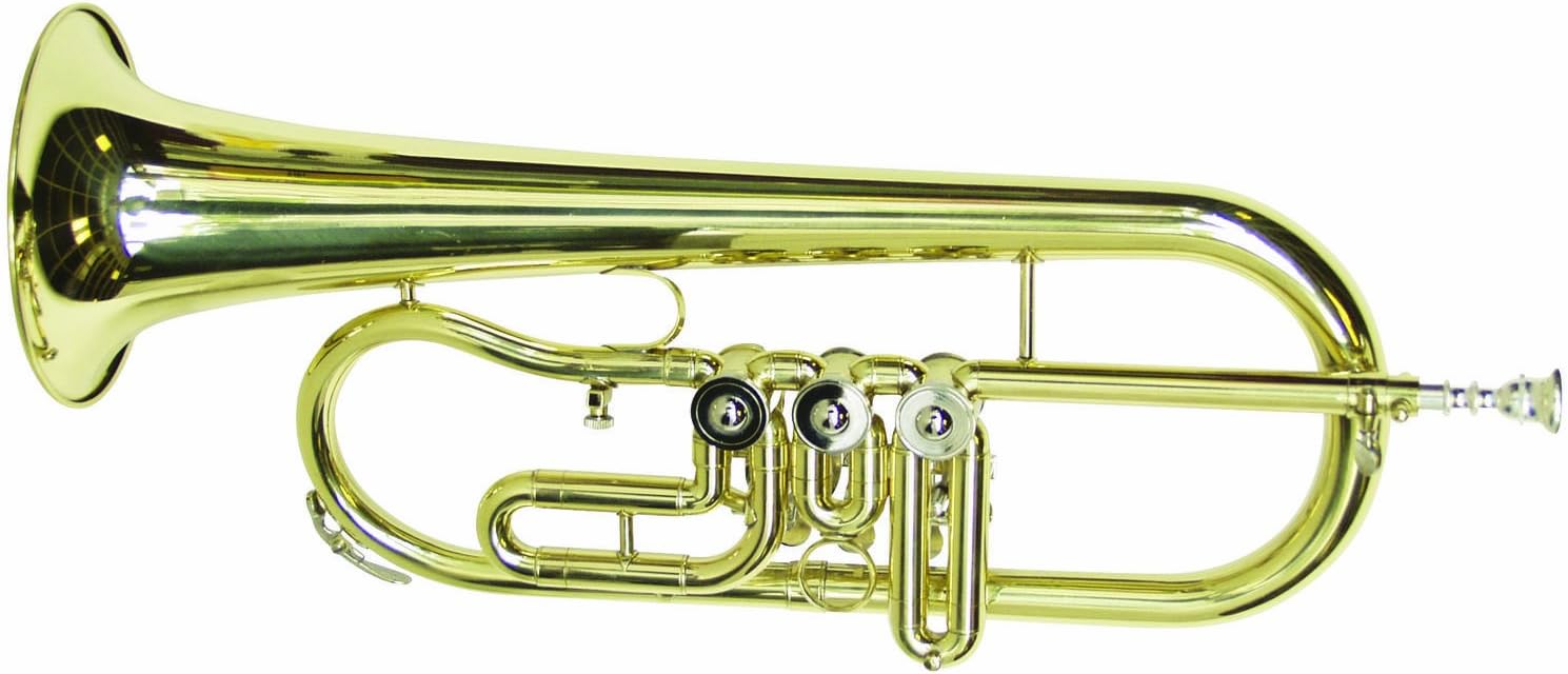 DIMAVERY FH-300D Bb Flügelhorn Drehventil : Amazon.de: Musikinstrumente ...