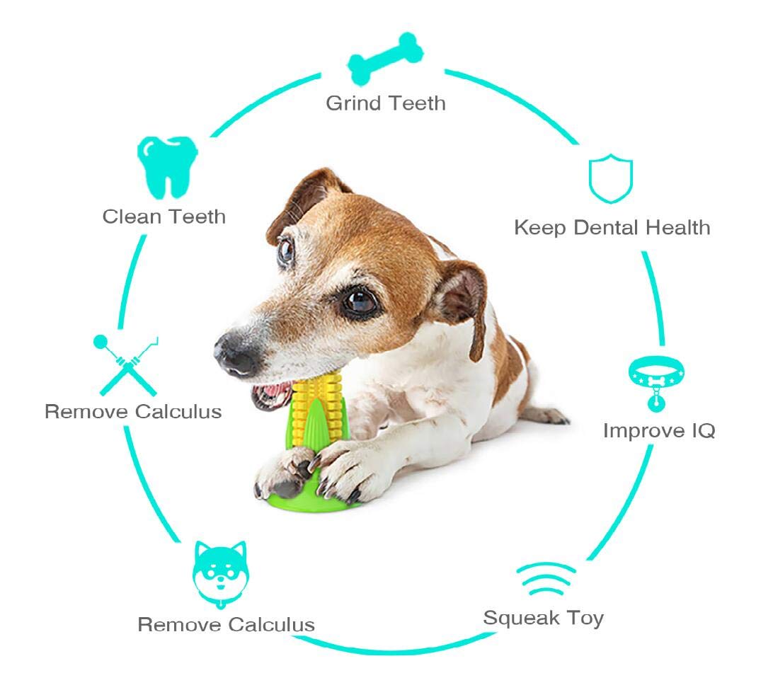 Image showcasing How Do You Stop A Dog From Grinding Their Teeth