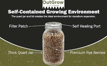 Sterilized Rye Berry Mushroom Substrate in Quart Jar