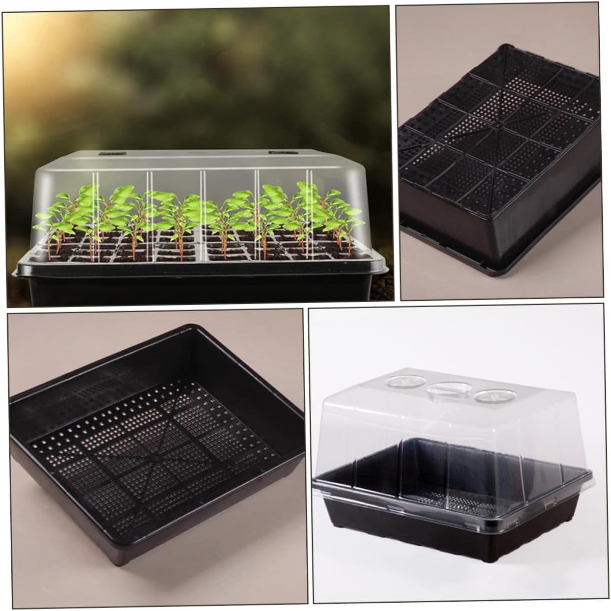 GLEAVI Seedling Starter Tray with Dome Germination Nursery Tray for Indoor Plants for Succulents and Carnivorous Plants Seed Growth Propagator Kit