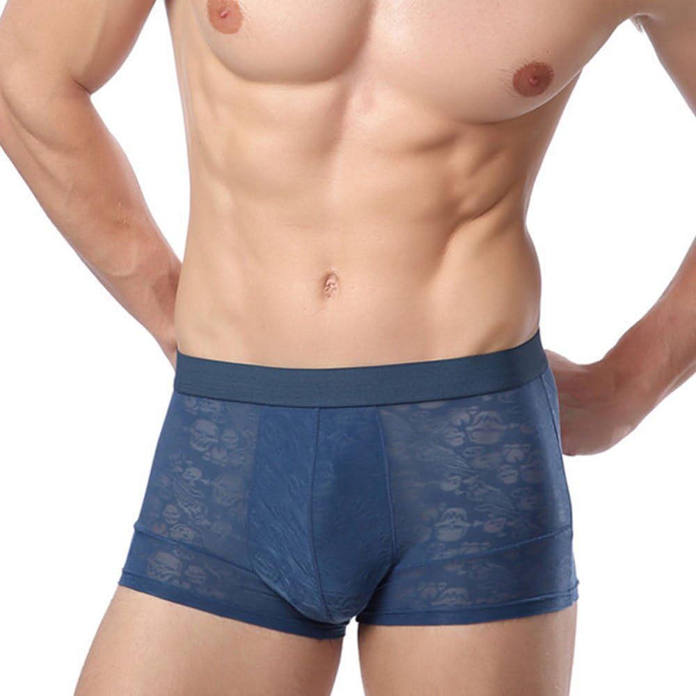 Men's Sexy Soft Underwear Sheer Brief Panty Boxer Trunks Panty Many Colors (XXL, Blue)