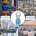 Lock Out Tag Out Hasp, Safety Hasp Lock High Security Six Holes High Strength Anti Rust Lockout Tagout Safety Hasp for Home Industry