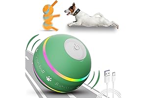 The Doggy Ball: The Ultimate Interactive Toy for Your Canine Companion