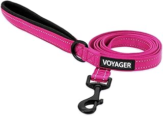 Voyager - Correa reflectante para perro con asa de neopreno, 5 pies de largo, soporta cachorros de raza pequeña, mediana y grande, bonita y resistente para caminar, correr y entrenar, fucsia, S