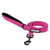Voyager Reflective Dog Leash with Neoprene Handle, 5ft Long, Supports Small, Medium, and Large Breed Puppies, Cute and Heavy Duty for Walking, Running, and Training - Fuchsia (Leash), S