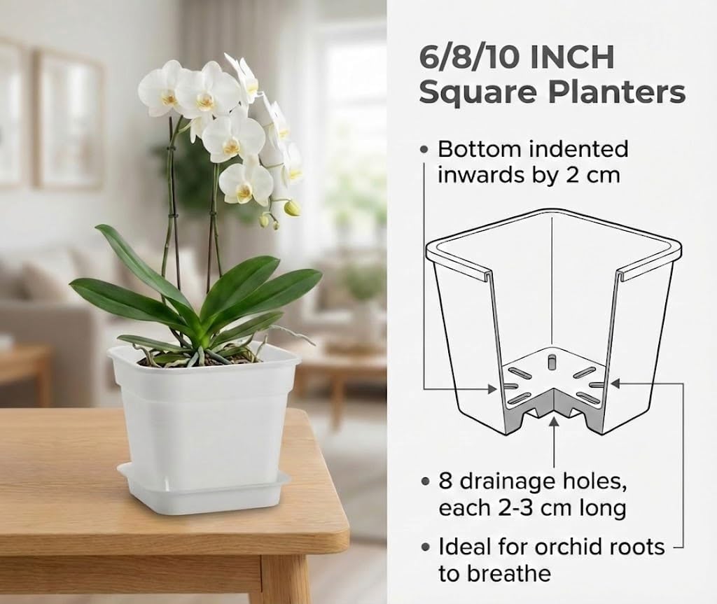 6 Pack 6/8/10 Inch Square Plant Pots with Saucers - 24-Strip Airflow Drainage for Root Health - Heavy Duty 5mm Thick White Plastic Orchid Planters for Indoor Outdoor Flowers, Herbs & Succulents