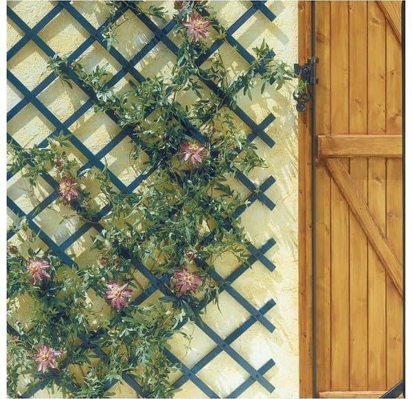 Celosía Extensible de plástico Verde | 0.5x1.5 M | Soporte para Plantas trepadoras