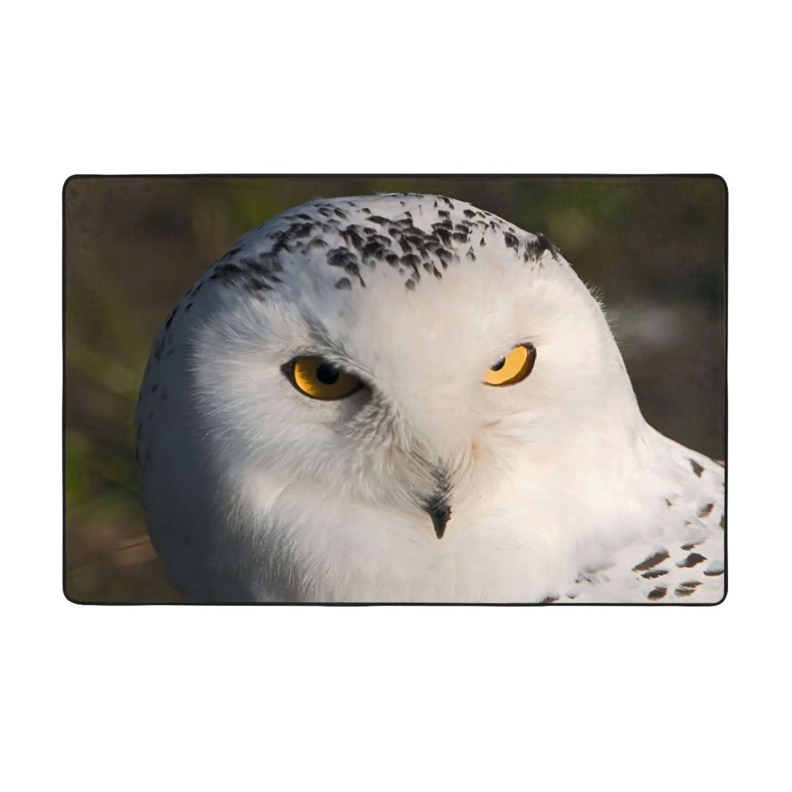 Grand tapis doux imprimé hibou enneigé 160x230cm pour salon