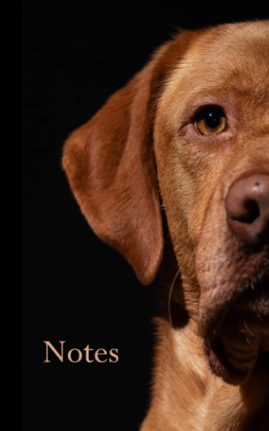 Labrador Retriever Notebook: Fox Red Lab Journal with Labrador Book ...