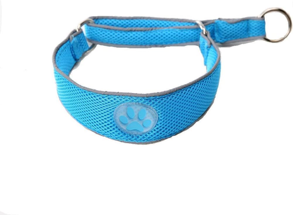 Pet Collars for Dogs Classic Ultra-soft Padded Reflective Martingale Pet Collar for Dog