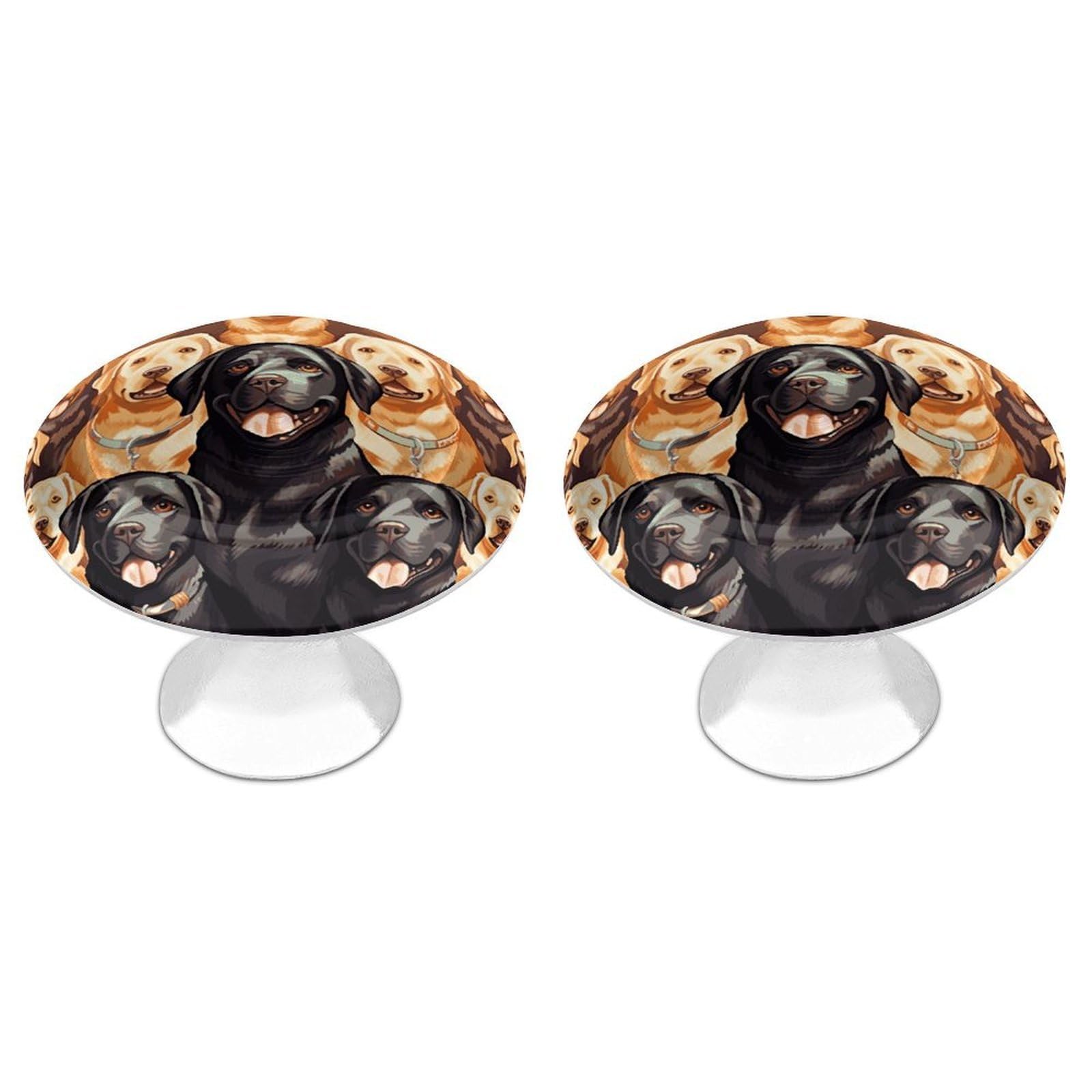 FekiLoot Labrador Retriever Dogs Cabinet Knobs 2 Pack Stainless Steel Round Dresser Drawer Knobs Kitchen Drawer Hardware Dresser Knob Closet Door Pulls Cabinet Handles for Cupboard Drawer Pulls
