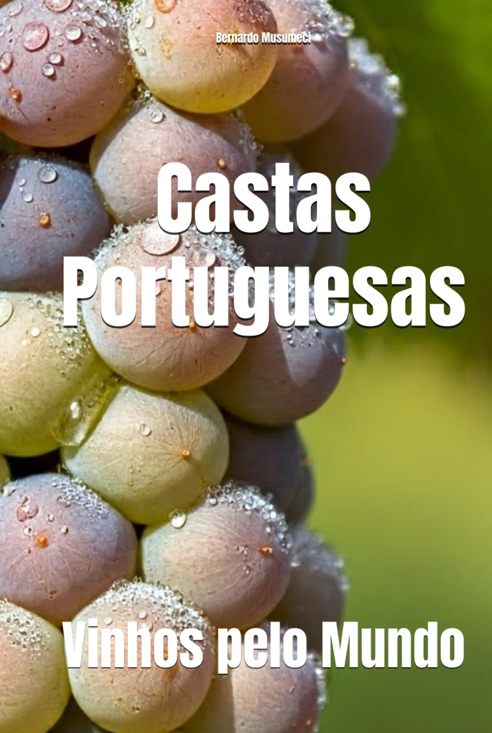 Castas Portuguesas: Vinhos pelo Mundo (Wines of the World: Portugal)