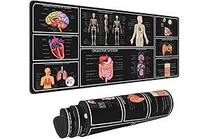Medical Anatomy Human Physiology Gaming Keyboard Mouse Pad