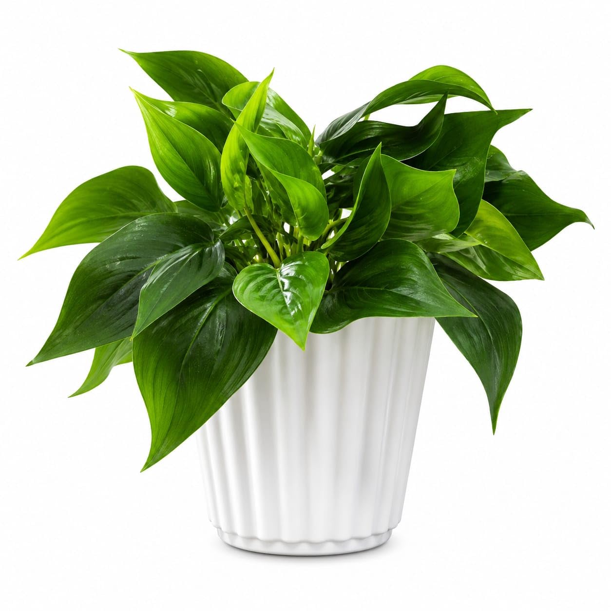 Artificial Plants Fake Pothos with Plastic Pot Artificial Potted Plant for Home Office Bedroom Indoor Outdoor Decor 1 Pack-image-41