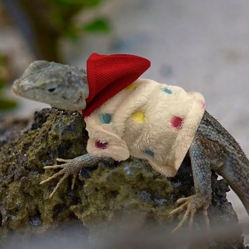 CQJ Eidechsen-Kleidung für Bartagamen, Reptilienbekleidung, handgefertigt, Baumwollmaterial, Kapuzenpullover, Geschenk für Eidechse, Kleintiere, Gecko, Chamäleon (Punktemuster)