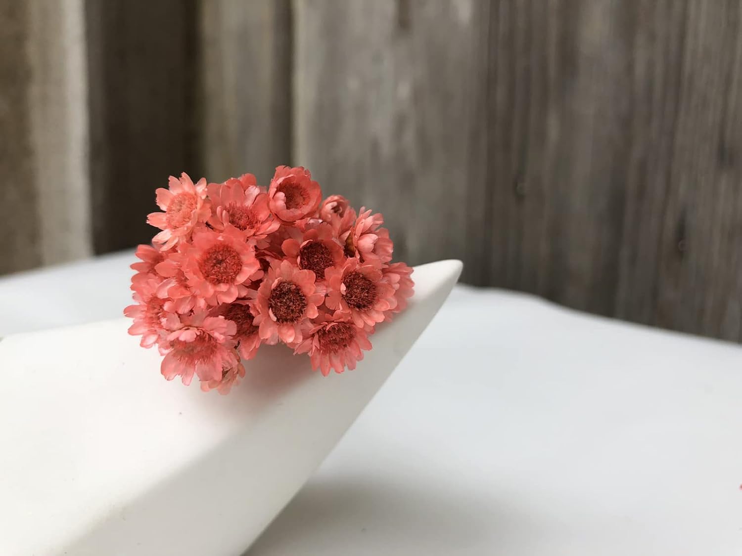 100 Stems Natural Dry Flowers Brazilian Small Star Daisy Decorative Dried Flowers Mini Daisy Chamomile Bouquet for Wedding Floral Arrangements Home Decorations (Lotus Color) - Image 3