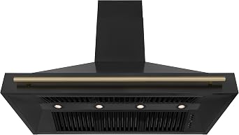 ZLINE 48 Black Stainless Steel Range Hood with Champagne Bronze Handle (BS655Z-48-CB)