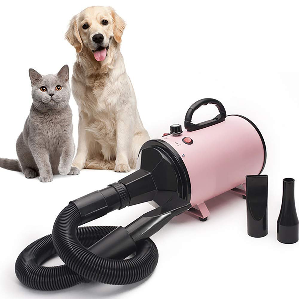 Secador de Pelo Profesional para Mascotas, máquina de soplado de Pelo para Perros, máquina de soplado de Agua, Adecuada para Perros y Gatos Grandes y medianos, 2000 W de Potencia, silencioso, antiesc