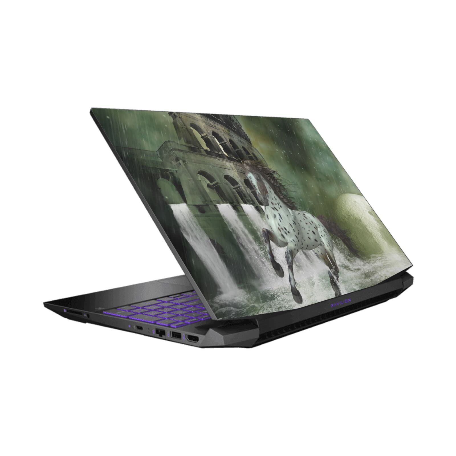Autocollant vinyle HP Pavilion 15.6 par Simone Gatterwe