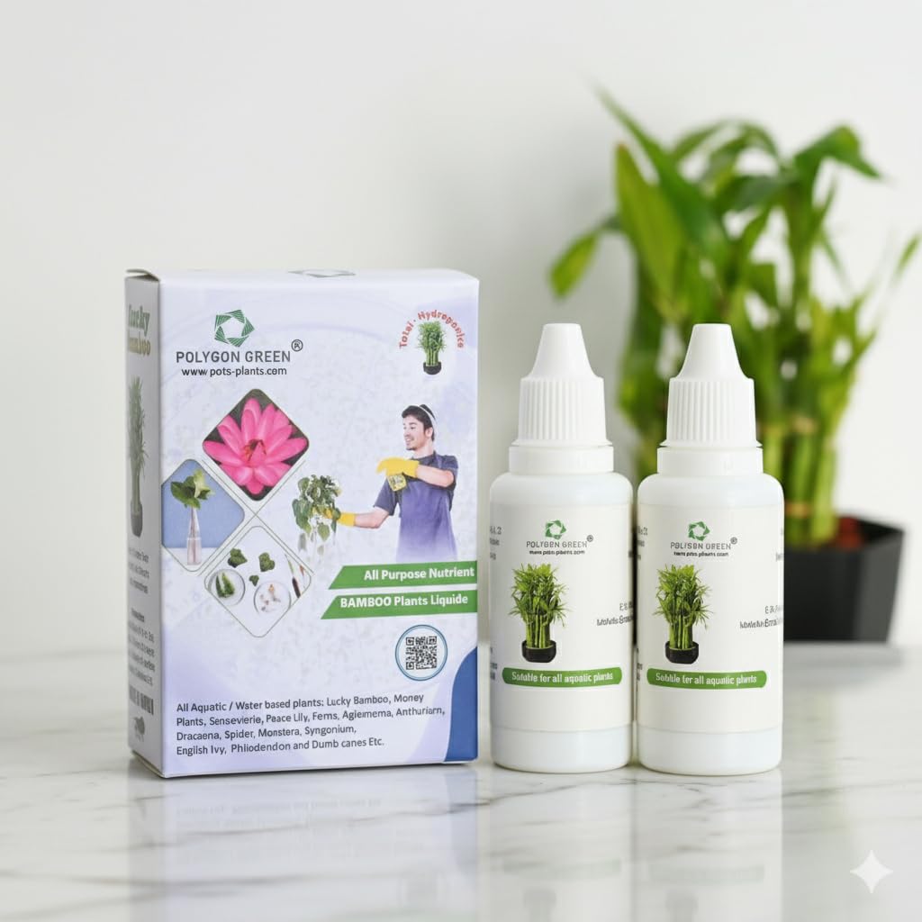 Fast acting Lucky Bamboo Nutrition for 2/3/5 Layer & Spiral Bamboo Boosts growth, roots & green leaves. Ideal indoor & aquatic plant nutriment for healthy, long-lasting bamboo- 60ml