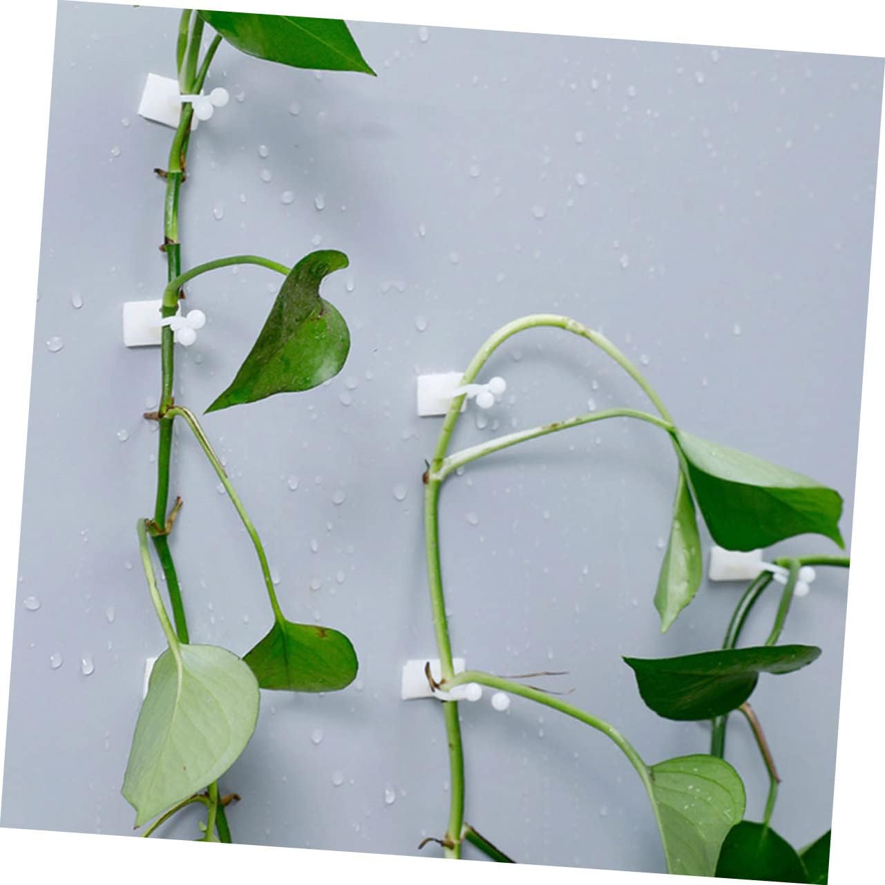 POPETPOP 500pcs Climbing Plant Support Wall Hooks Plant Clips for Tiles Marble Installation Easy