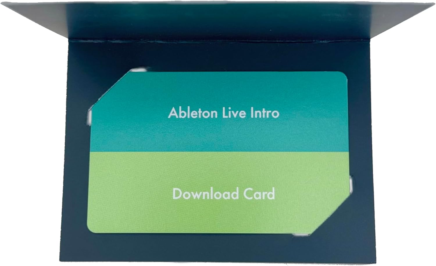 Ableton Live 12 Intro