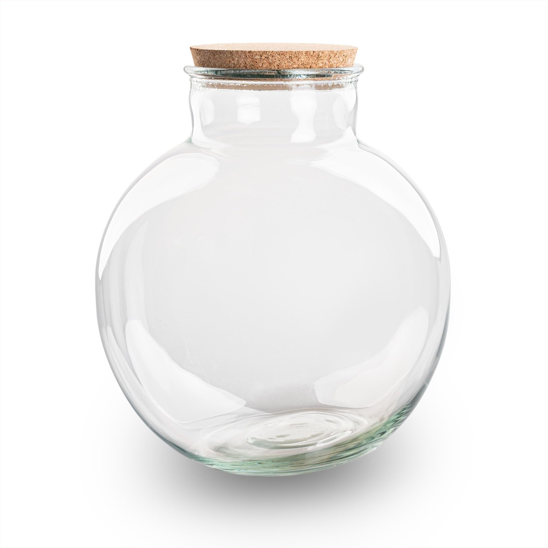 Terrarium avec Lampe - Terrarium fermé ↑ 30 cm