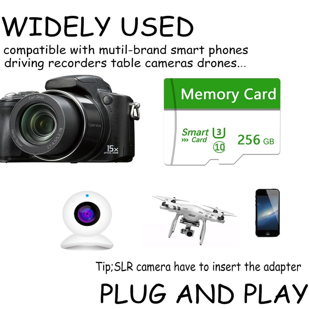 Carte mémoire 256 Go Mini carte TF ultra haute vitesse pour téléphones Android, caméras d'action, tablettes Stockage étendu
