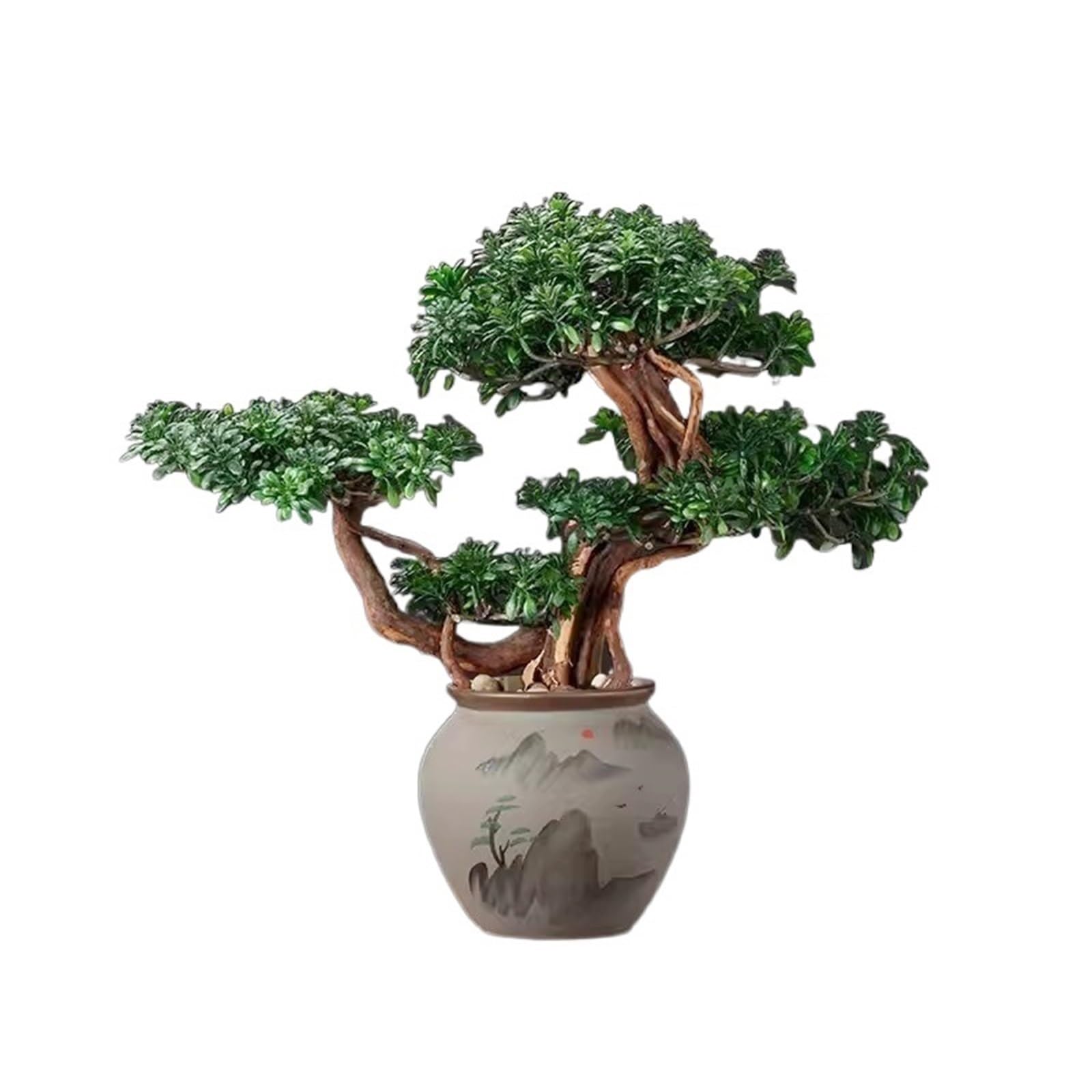 Plantes fausses pin de bienvenue bonsaï sans entretien pour salon sombre