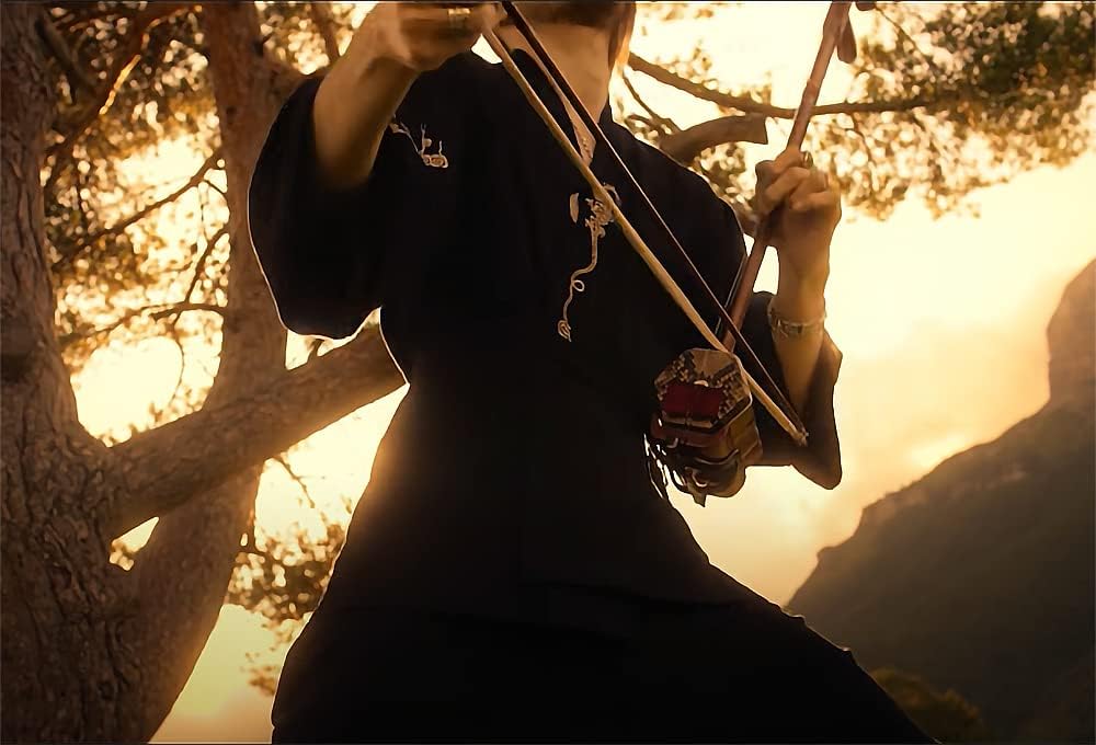 Professional Black Sandalwood Erhu,Two Stringed Chinese Violin Fiddle Instrument NICOSHINE Erhu with Engraved Dragon Head