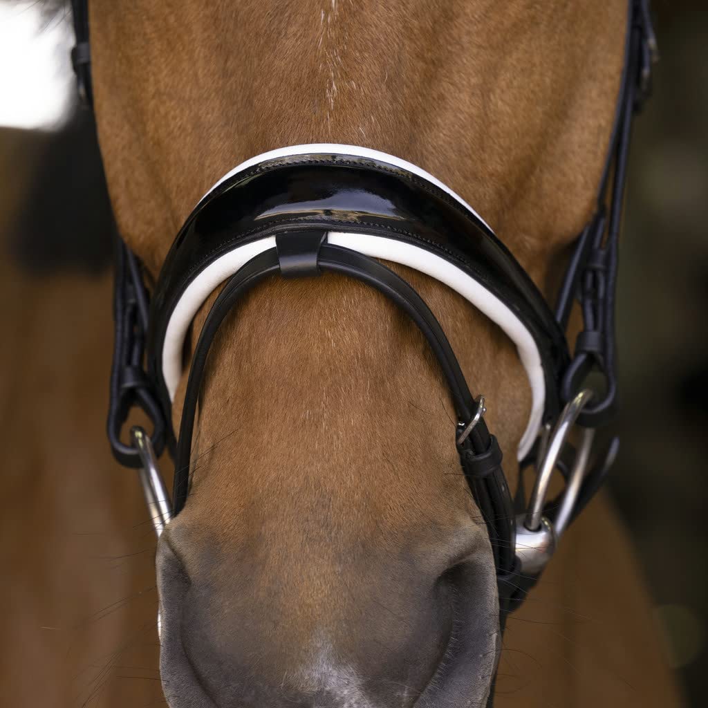 Norton Briglia Bella Black/White - Full | Briglia cavallo | Punte | Teugels | Cintura anteriore