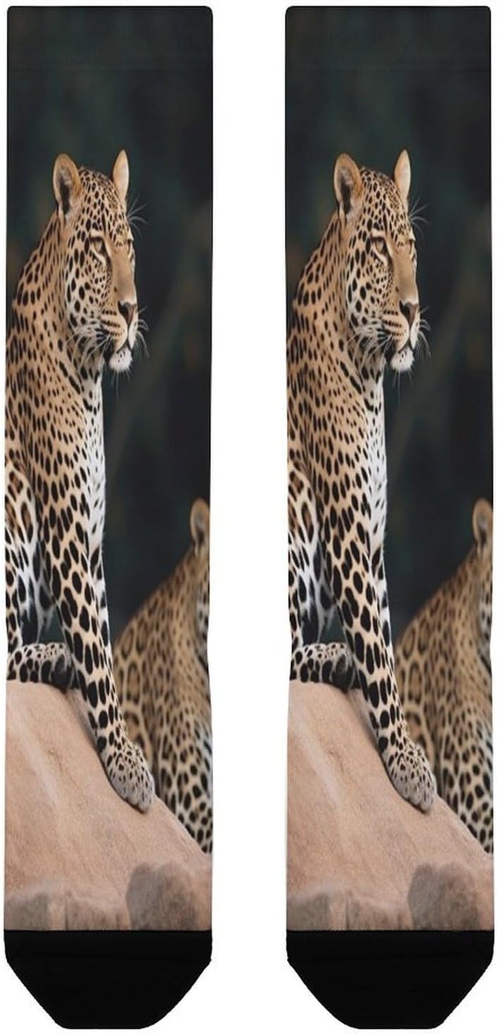 African Leopard on Rock Compression Sock Circulation Support Socks Lightweight Knee High Tube Sock Over-The-Calf Sock for Adult