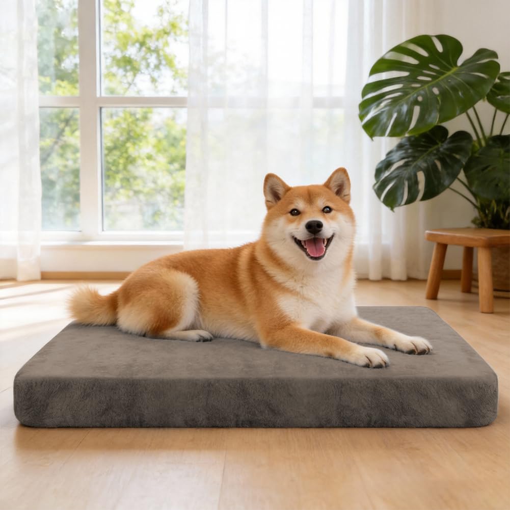 DUJUIKE 100% Copriletto Impermeabile per Cani, coprimaterasso in Velluto per Cani, copriletto in Morbida Peluche, copriletto di Lavabile e Rimovibile per Animali Domestici, con Elastico (caffè,S)