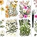 Dried flowers