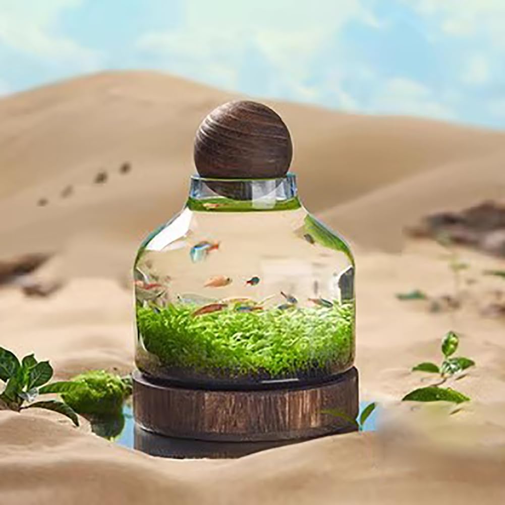 Szklane akwarium, miniaturowe terrarium krajobrazowe szklane akwarium z drewnianą podstawą, nowoczesne akwarium betta, małe akwarium do dekoracji domu i biura,L